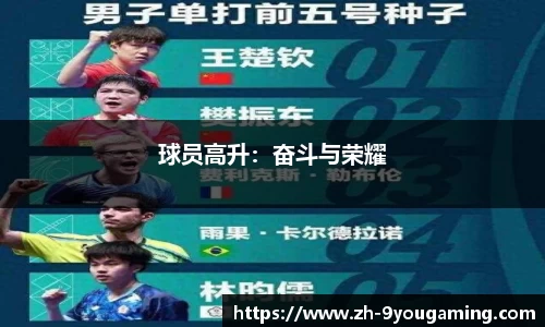 九游娱乐